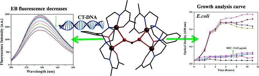 Trapping of Methanoato Bridge in μ-1,1,3,3 Mode for [Cu4] Aggregate Formation: Synthesis, Steric Control on Nuclearity, Antimicrobial Activity, and DNA-Interaction Properties