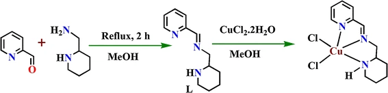 A square pyramidal copper(II) complex of a Schiff base ligand: synthesis, crystal structure, antibacterial and DNA interaction studies