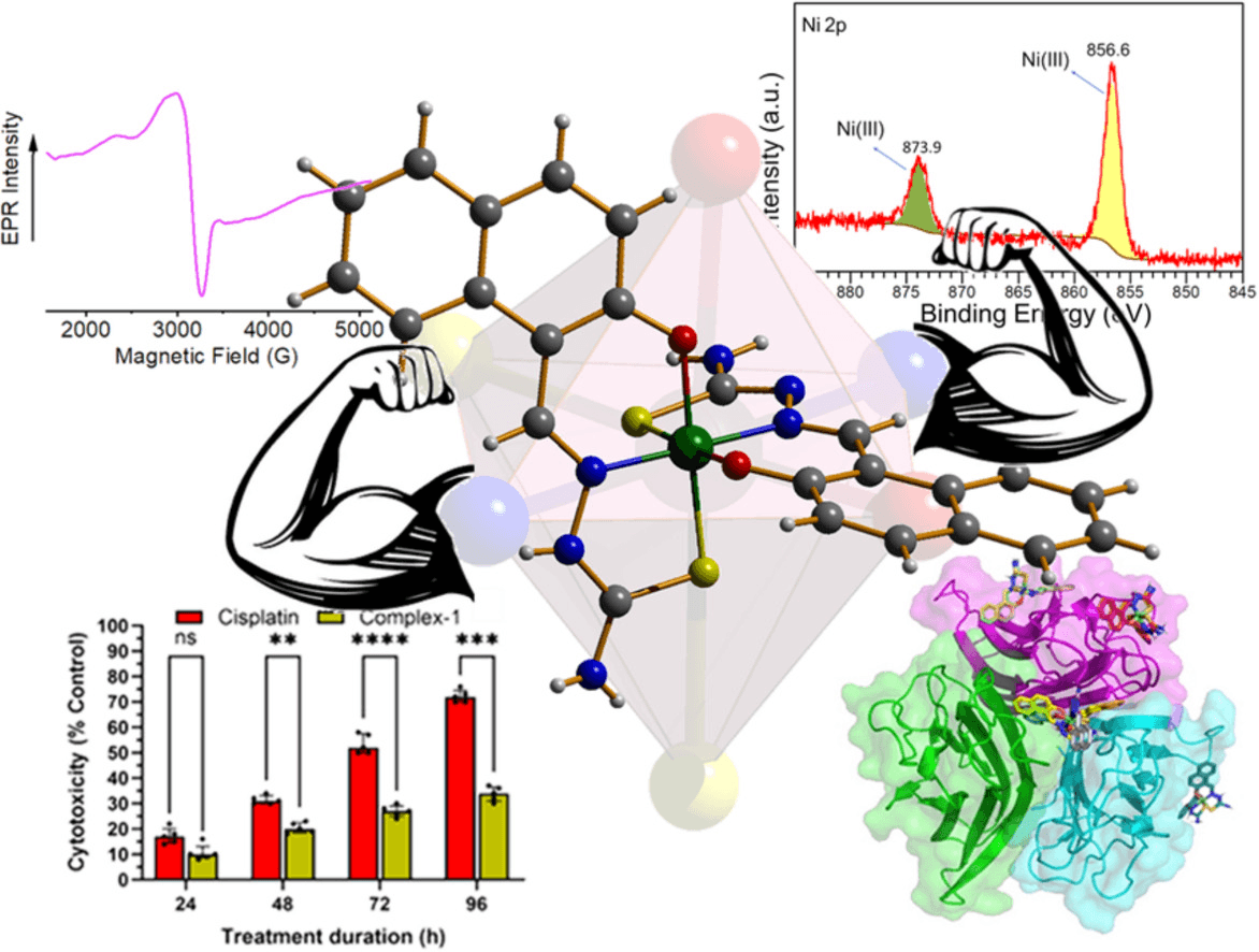 An octahedral Ni(III)-thiosemicarbazone complex with cytotoxic potential