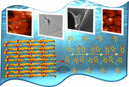 Crystalline Free-Standing Two-Dimensional Zwitterionic Organic Nanosheets for Efficient Conduction of Lithium Ions